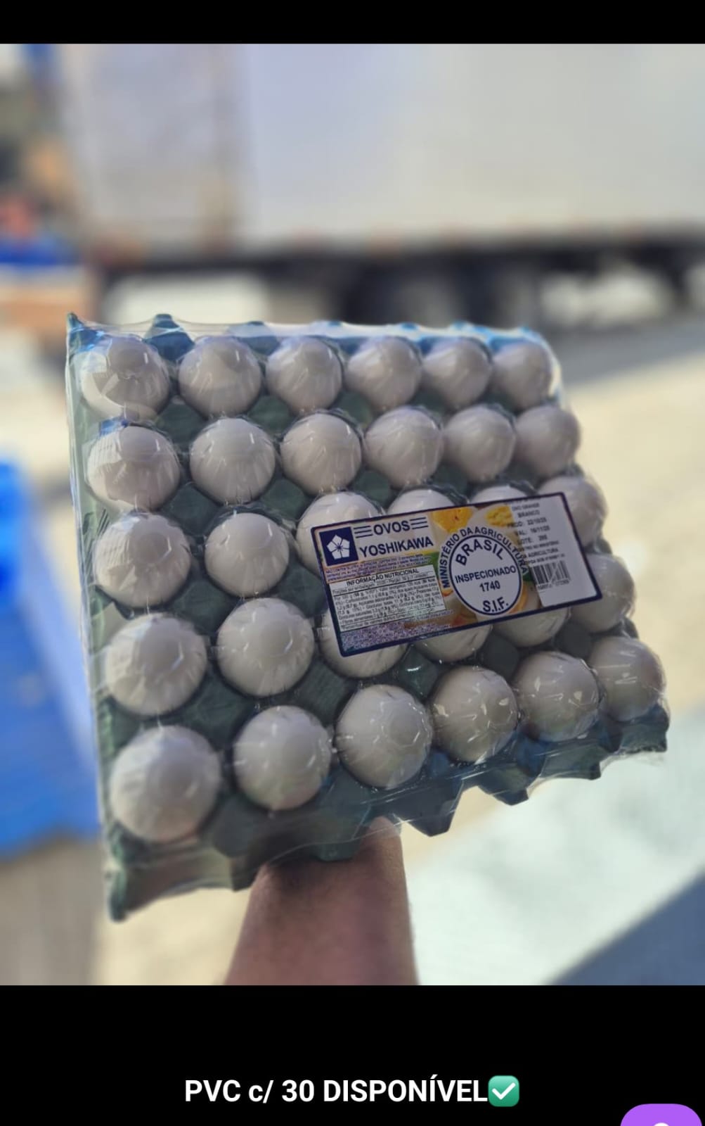 Ovos brancos frescos em bandeja roxa